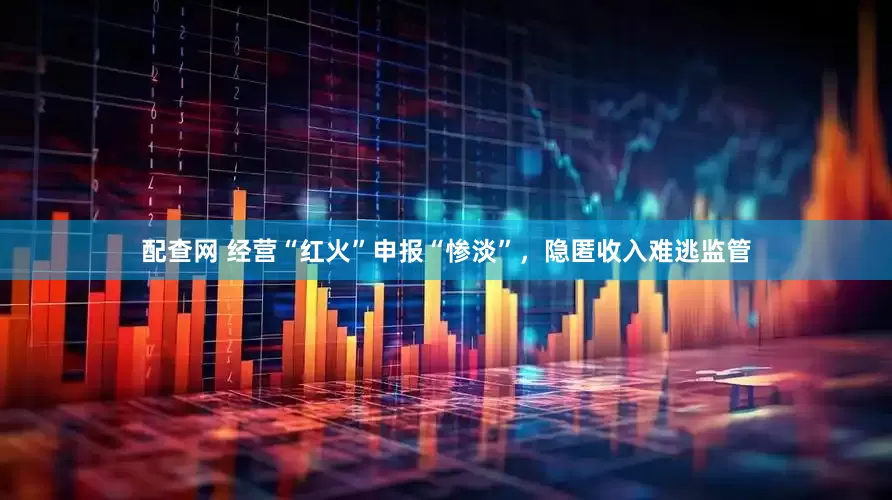 配查网 经营“红火”申报“惨淡”，隐匿收入难逃监管
