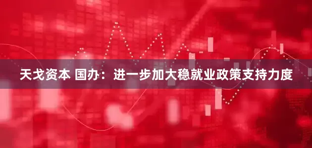 天戈资本 国办：进一步加大稳就业政策支持力度