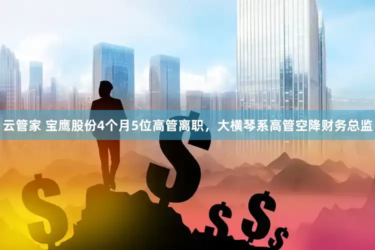云管家 宝鹰股份4个月5位高管离职，大横琴系高管空降财务总监